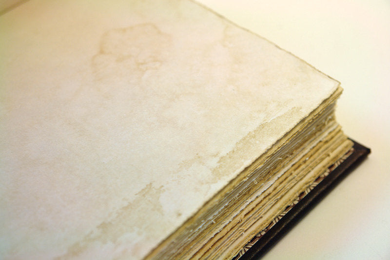 Black and Gold Journal