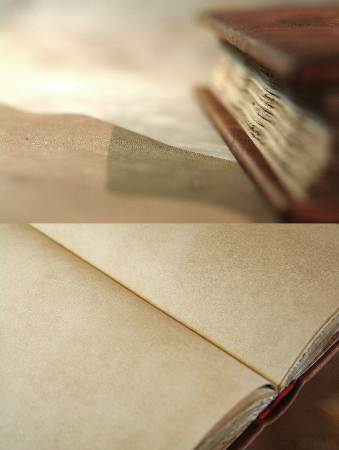 Hand Painted Leather Journal - Renaissance Large Book, Art Journal, Vintage Style Ribbed Spine, Old Paper - Study after Leonardo Da Vinci