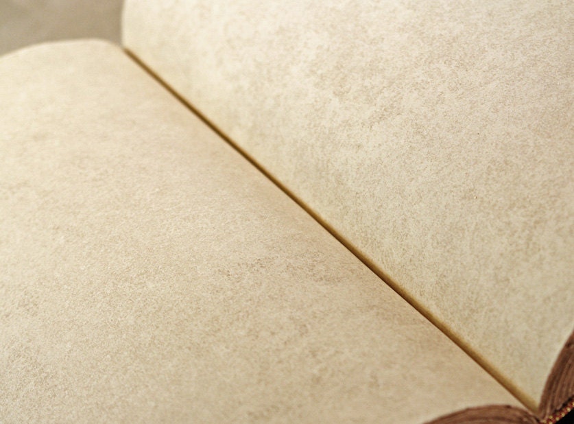 Narcissus - Vintage Style Large Leather Journal - Botanical Collection