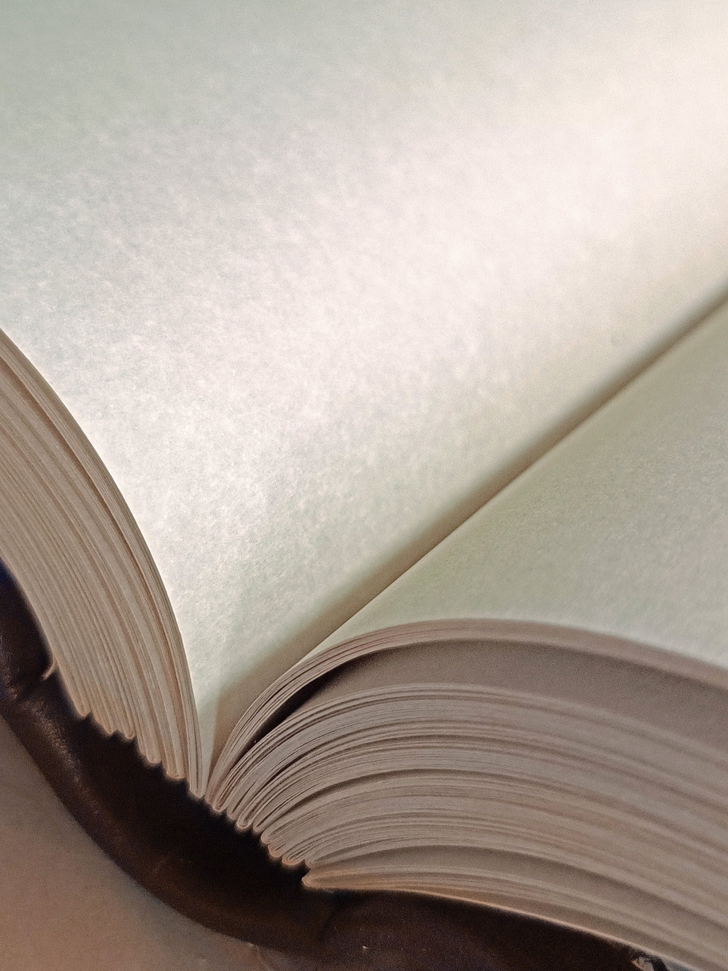 parchment off white paper in an open book