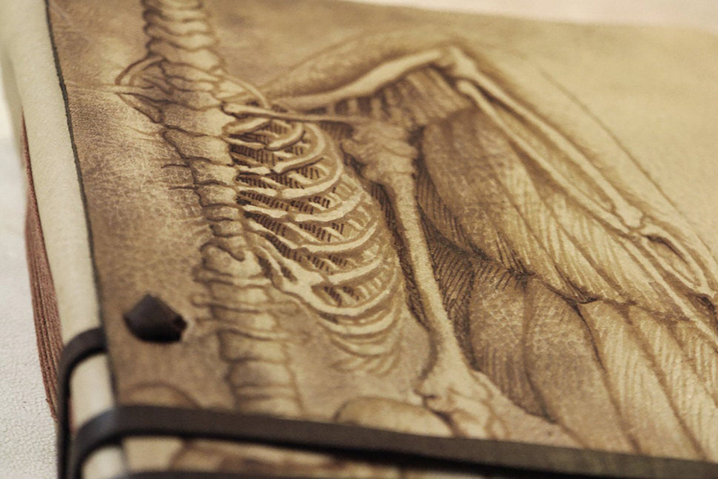 large leather journal, sketchbook, journal for drawings, gift for artist, gift for painter, blank notebook, drawing pad, Anatomy of an Angel
