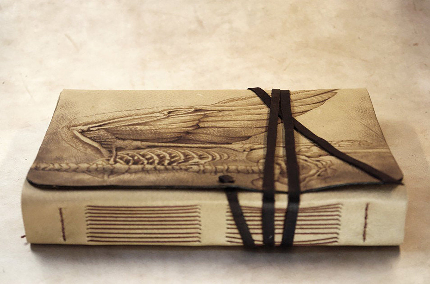 large leather journal, sketchbook, journal for drawings, gift for artist, gift for painter, blank notebook, drawing pad, Anatomy of an Angel