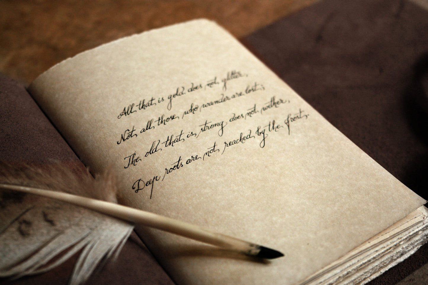 quill leather journal - feather plume - handmade leather journal, notebook diary with parchment pages